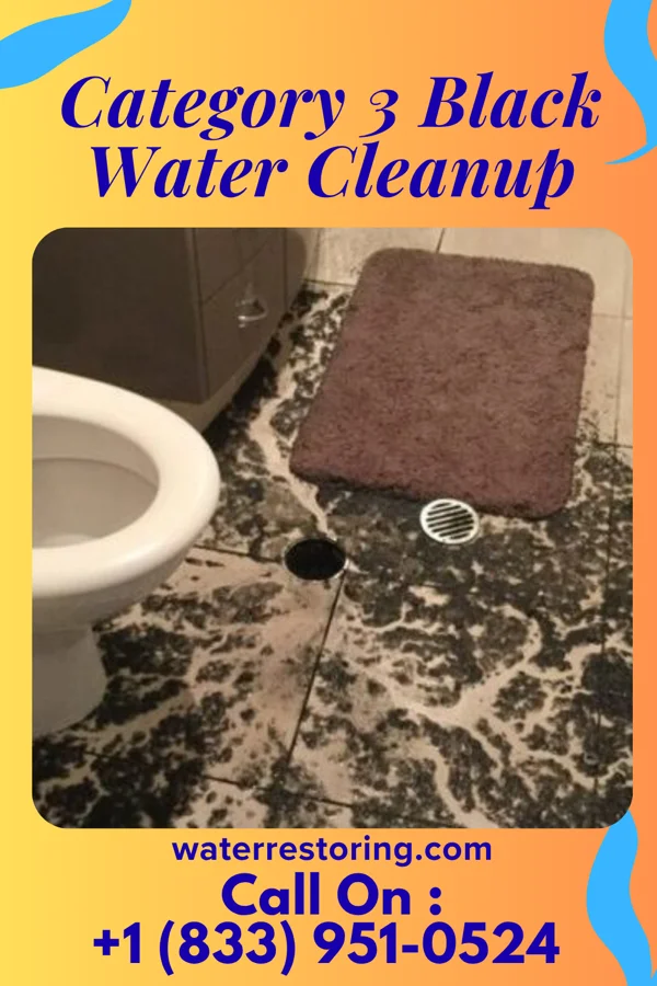 Category 3 Black Water Cleanup in Halbur, IA