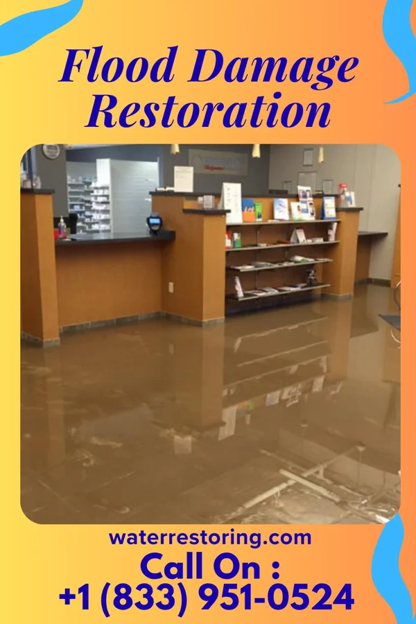 Flood Damage Restoration in Halbur, IA
